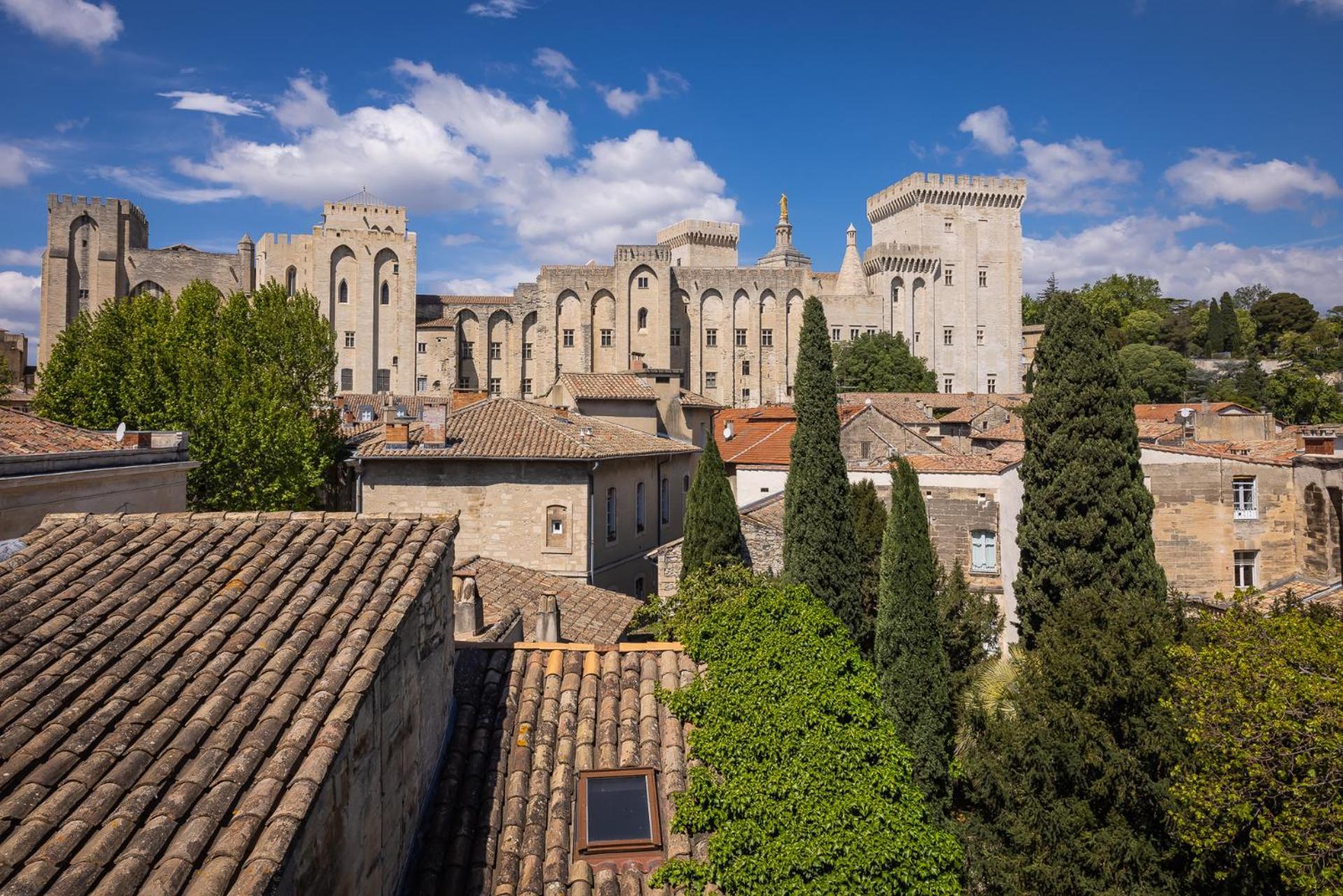 Intra-muros, Vue Palais Des Papes Apartment *